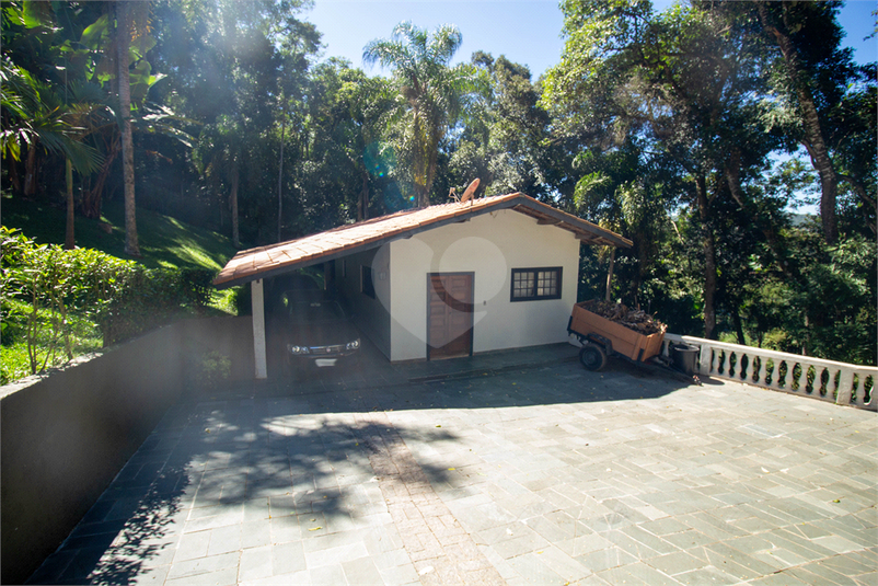 Foto REO1183581