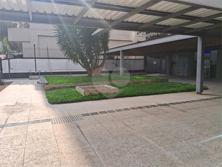 Foto REO1183597