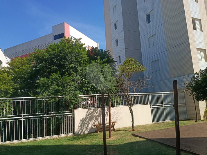 Foto REO1183609