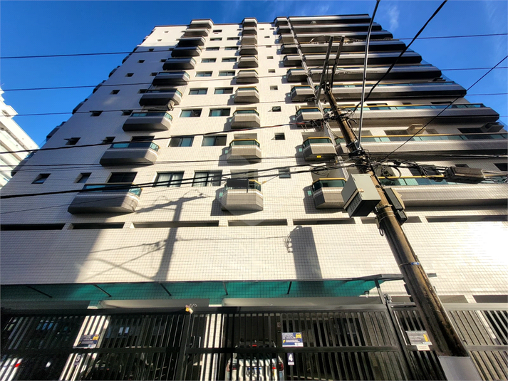 Foto REO1183612