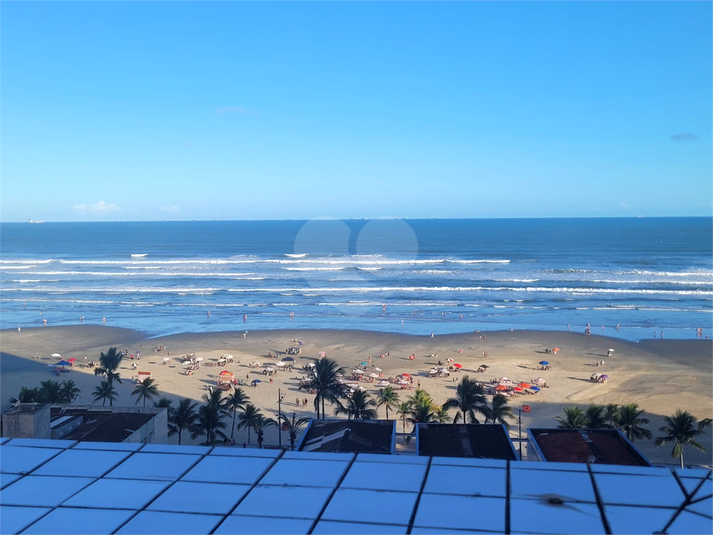 Foto REO1183612
