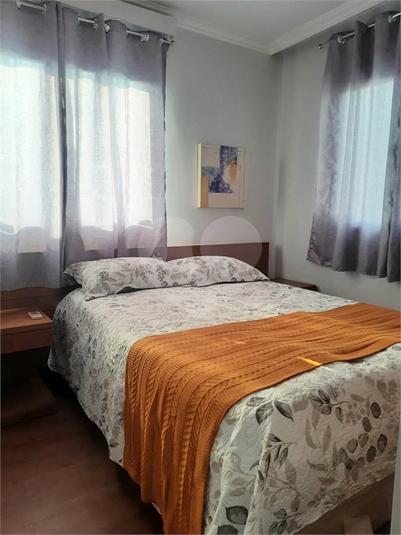 Foto REO1183626