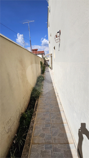 Foto REO1183636