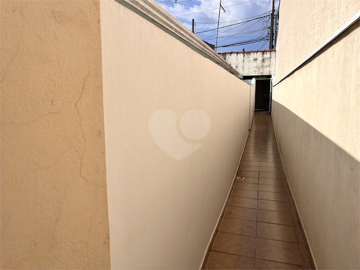 Foto REO1183659