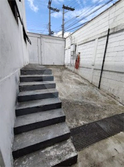 Foto REO1183662