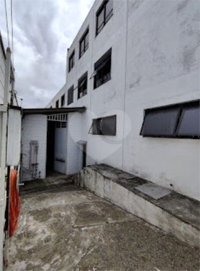 Foto REO1183662