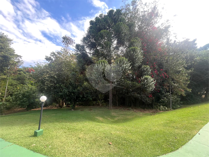 Foto REO1183689