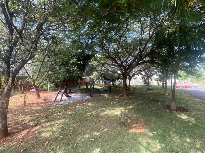 Foto REO1183689