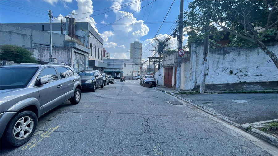 Foto REO1183699
