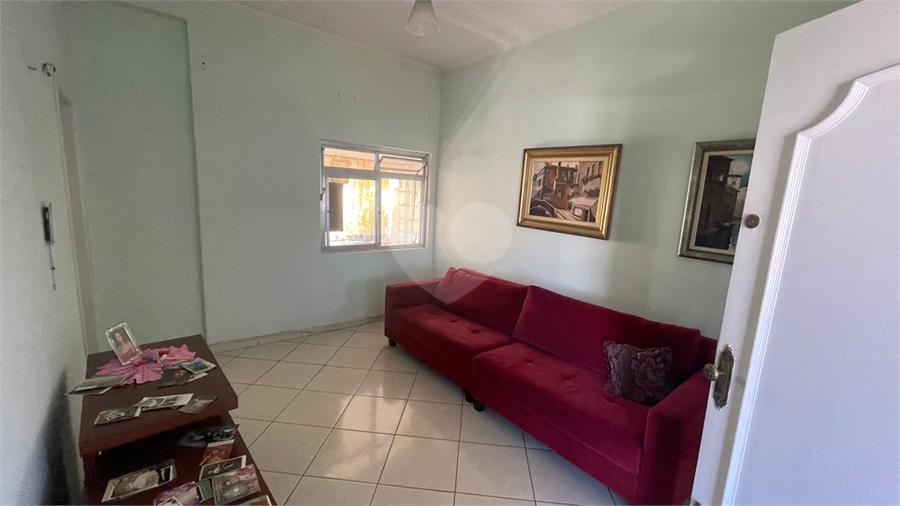 Foto REO1183699