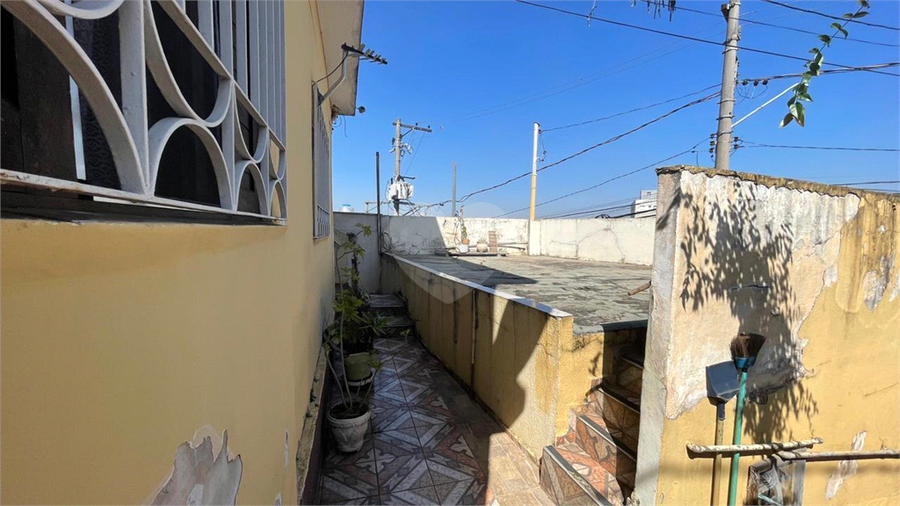 Foto REO1183699
