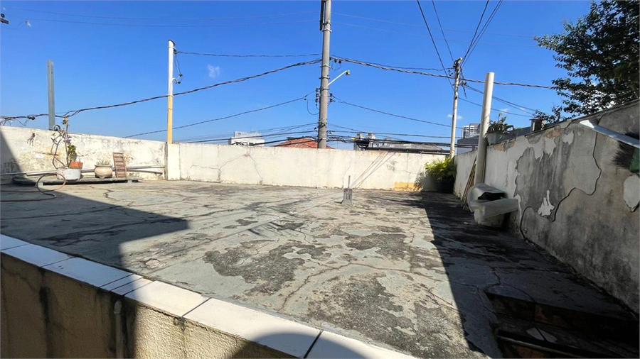 Foto REO1183699