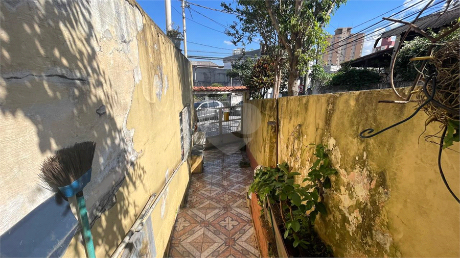Foto REO1183699
