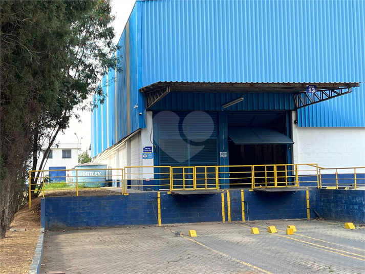 Foto REO1183702