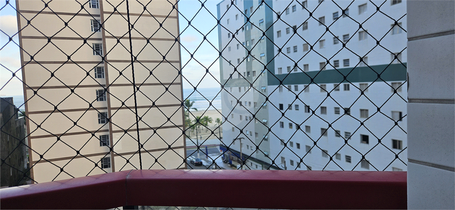 Foto REO1183717
