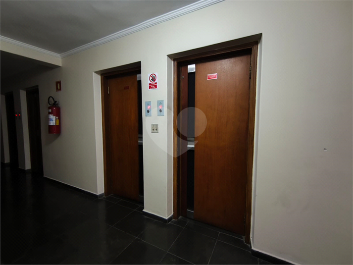 Foto REO1183723