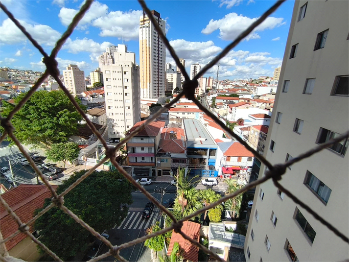 Foto REO1183723