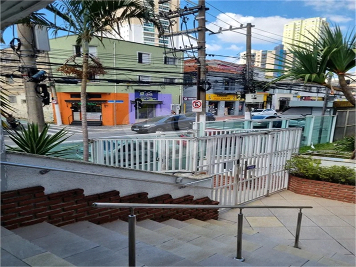 Foto REO1183723