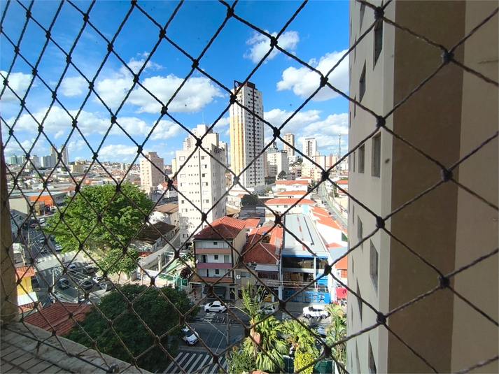 Foto REO1183723