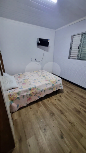 Foto REO1183733