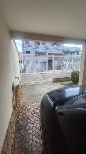 Foto REO1183741
