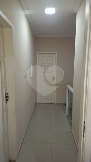Foto REO1183741