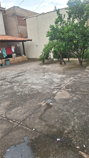 Foto REO1183741