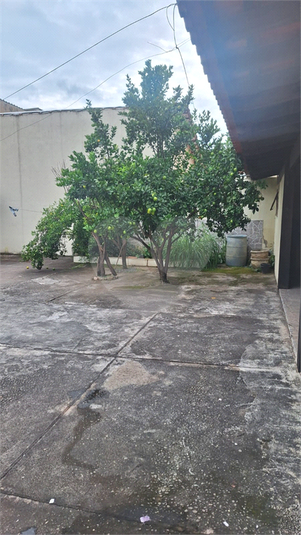 Foto REO1183741