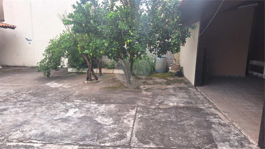 Foto REO1183741