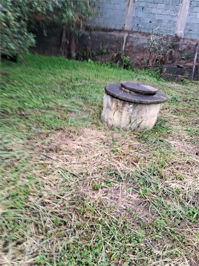 Foto REO1183778