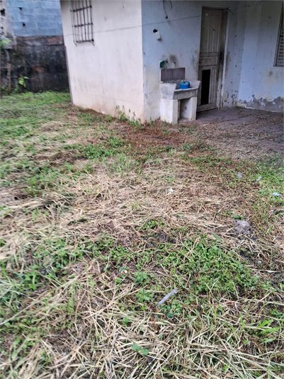 Foto REO1183778