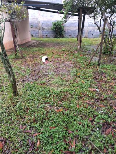 Foto REO1183778
