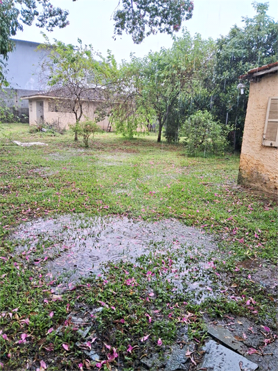 Foto REO1183778