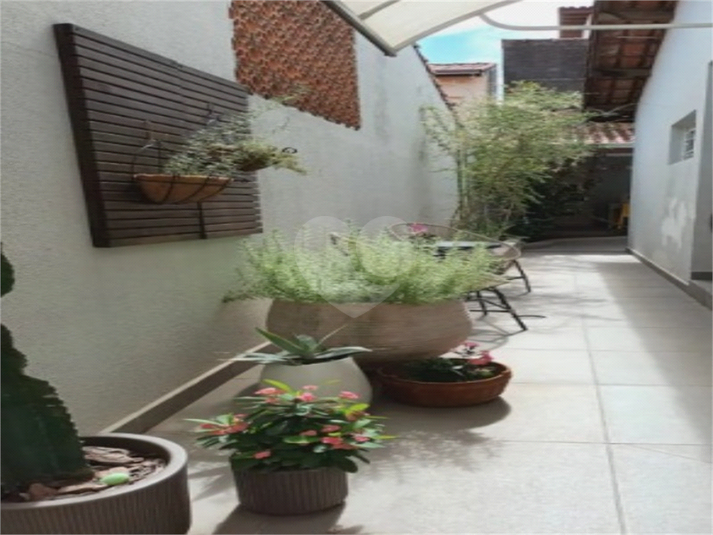 Foto REO1183803