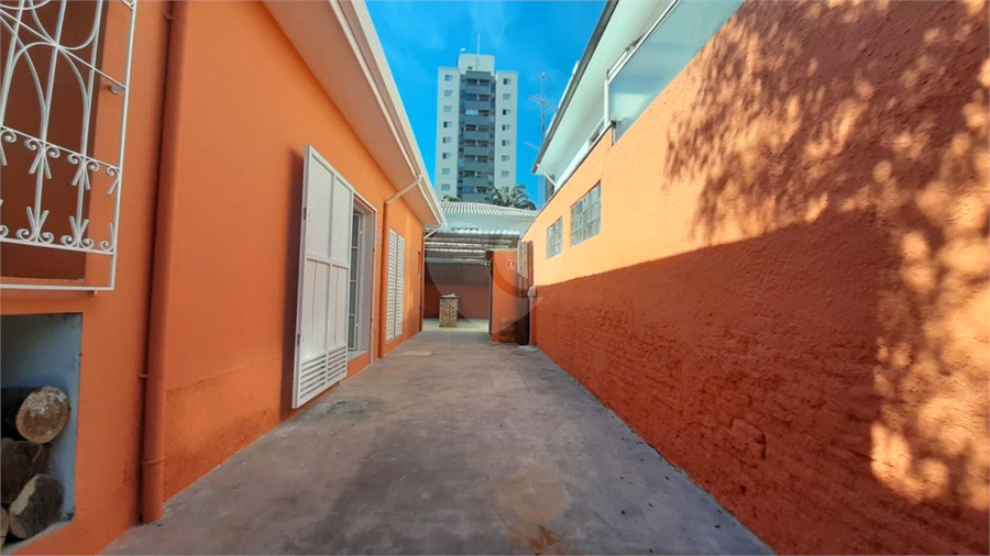 Foto REO1183825
