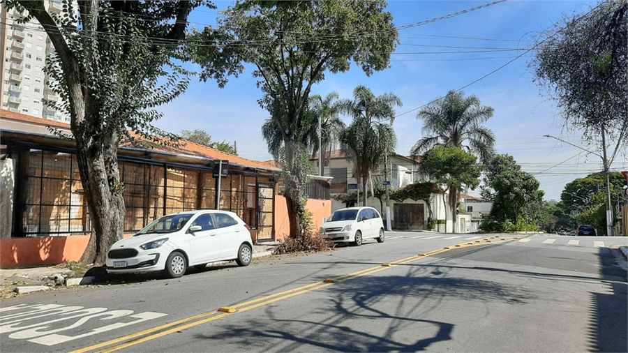 Foto REO1183825