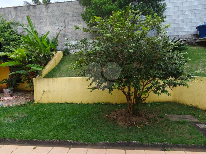 Foto REO1183842