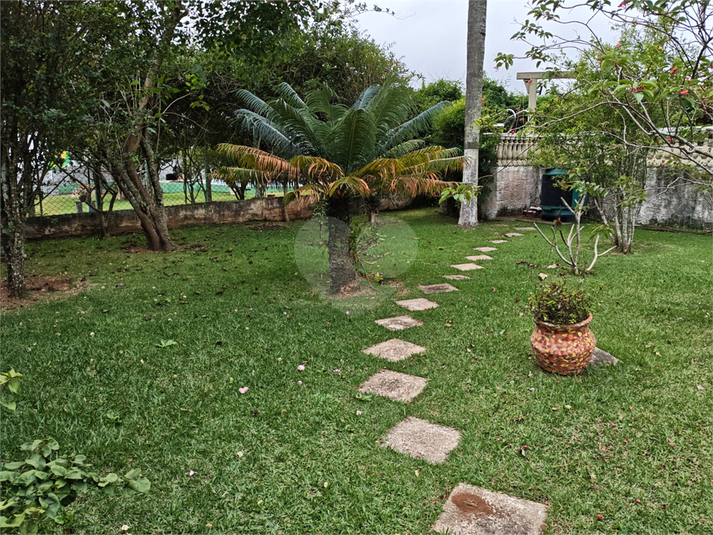 Foto REO1183842