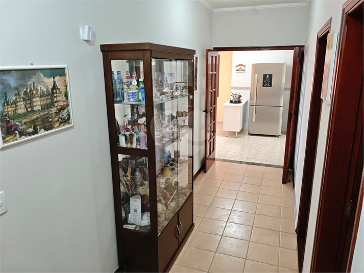 Foto REO1183842