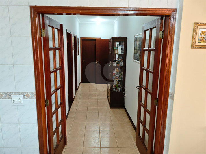 Foto REO1183842