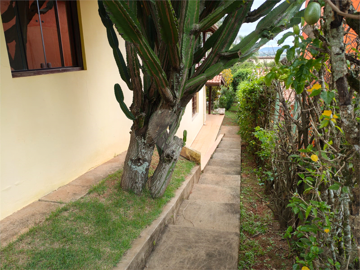 Foto REO1183842