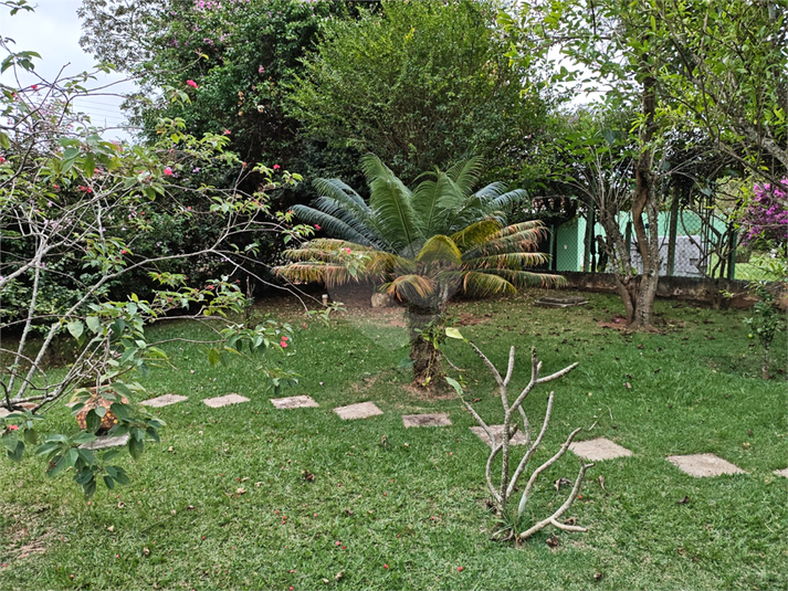 Foto REO1183842