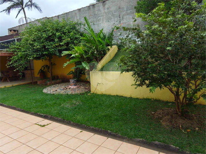 Foto REO1183842