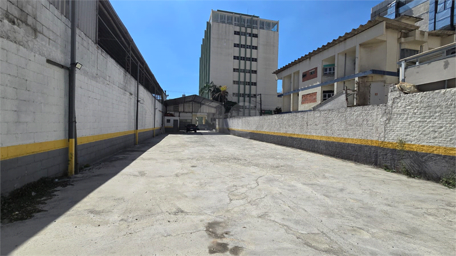 Foto REO1183848
