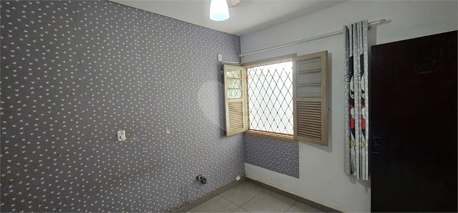 Foto REO1183856