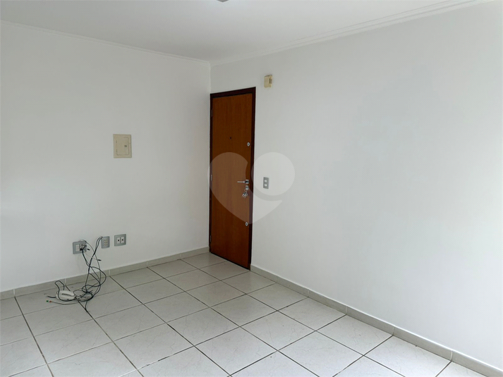 Foto REO1183863