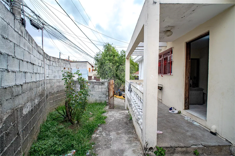 Foto REO1183868