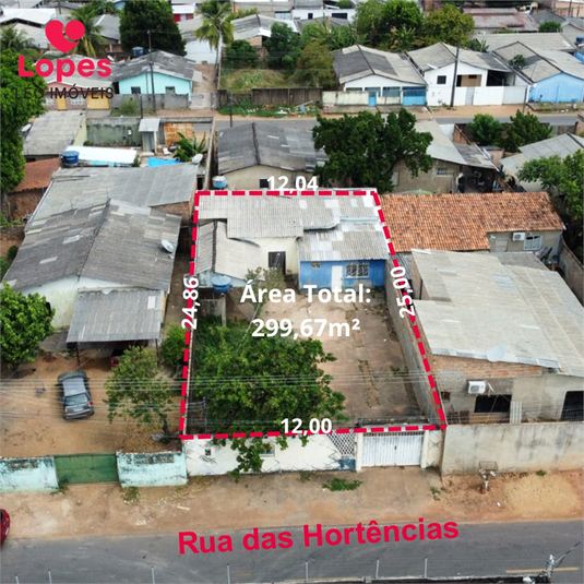 Foto REO1183880