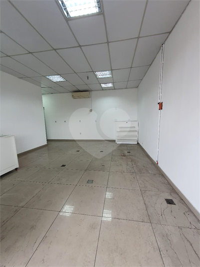 Foto REO1183912
