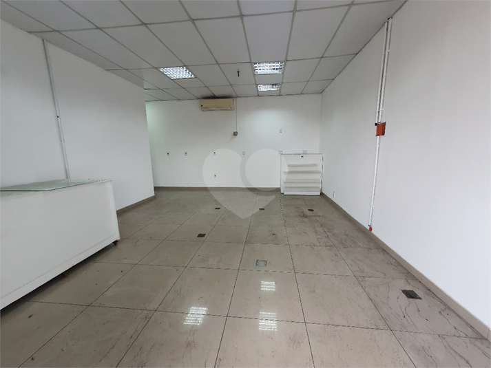 Foto REO1183912